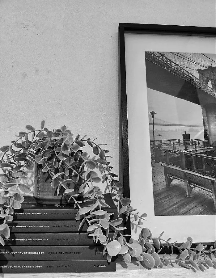 Apartment The Beach Surf Studio Ostend Belgium