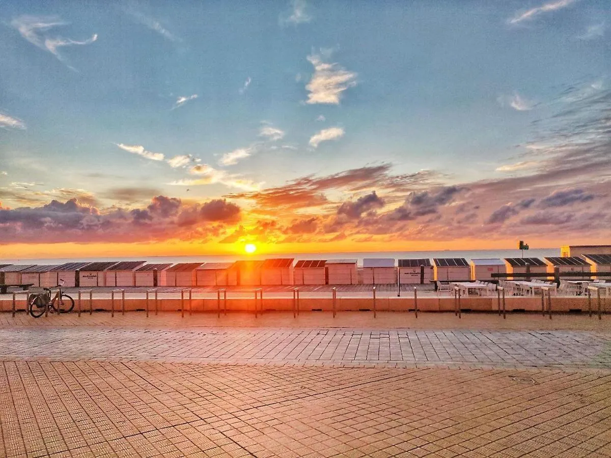 The Beach Surf Studio Ostend Belgium