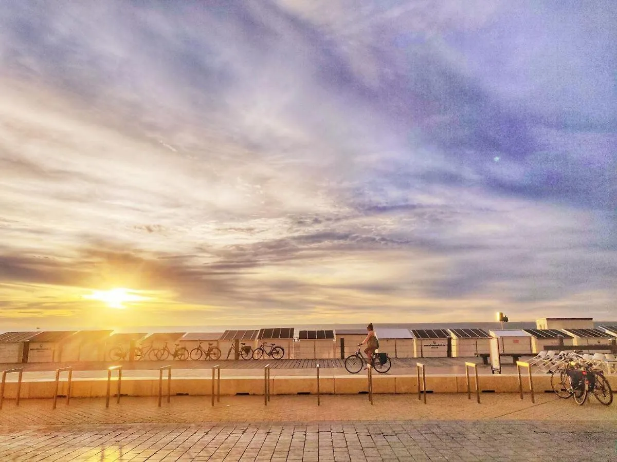 The Beach Surf Studio location